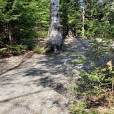 Review photo of Rowell Cove Campground — Lily Bay State Park by Jean C., June 10, 2019