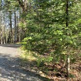 Review photo of Rowell Cove Campground — Lily Bay State Park by Jean C., June 10, 2019