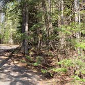 Review photo of Rowell Cove Campground — Lily Bay State Park by Jean C., June 10, 2019