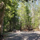 Review photo of Rowell Cove Campground — Lily Bay State Park by Jean C., June 10, 2019