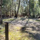 Review photo of Rowell Cove Campground — Lily Bay State Park by Jean C., June 10, 2019