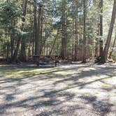 Review photo of Rowell Cove Campground — Lily Bay State Park by Jean C., June 10, 2019