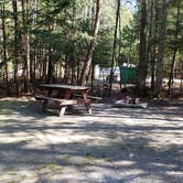 Review photo of Rowell Cove Campground — Lily Bay State Park by Jean C., June 10, 2019