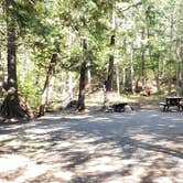 Review photo of Rowell Cove Campground — Lily Bay State Park by Jean C., June 10, 2019