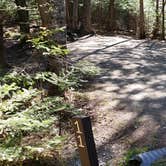 Review photo of Rowell Cove Campground — Lily Bay State Park by Jean C., June 10, 2019