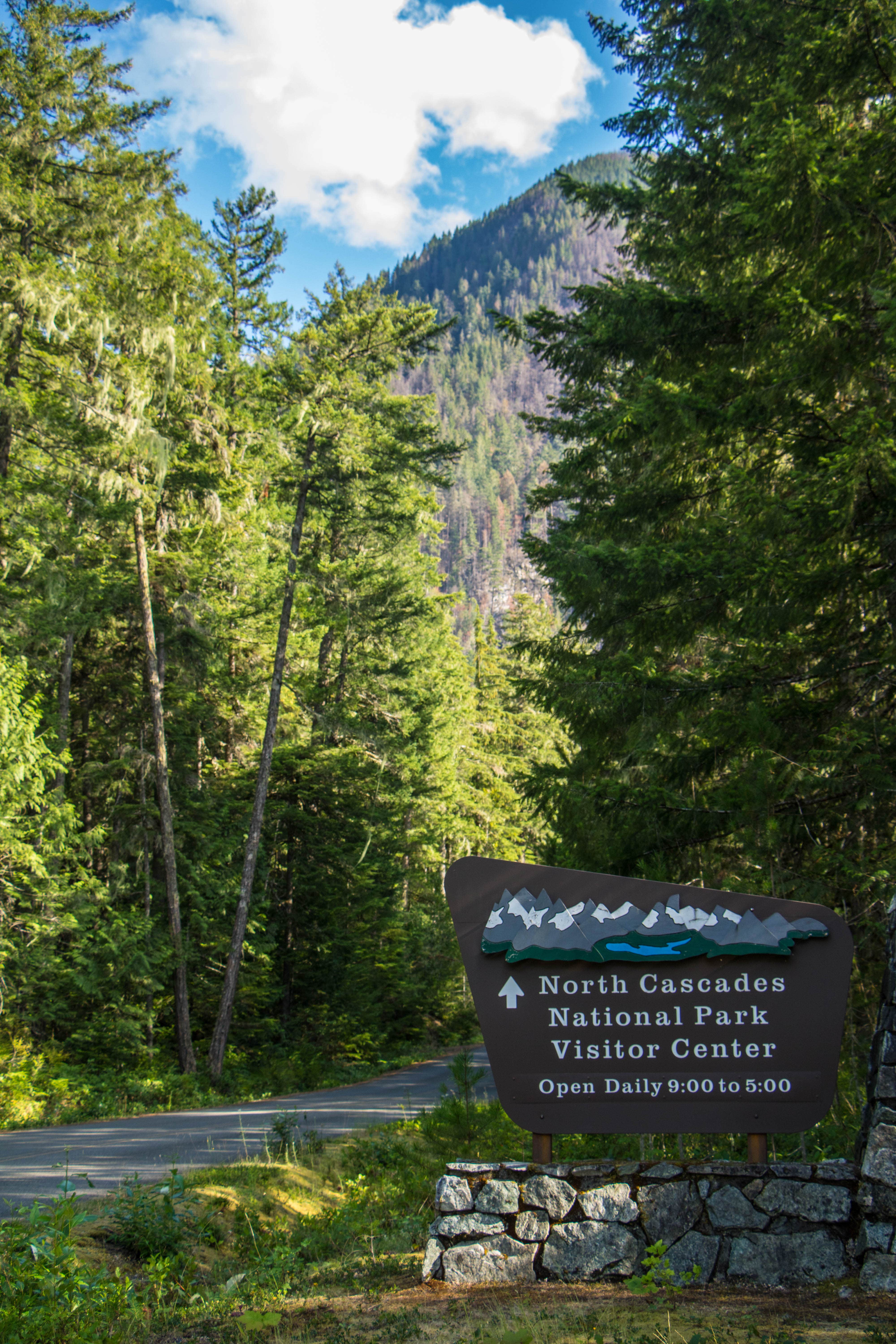Camper submitted image from Goodell Creek Campground — Ross Lake National Recreation Area - 5