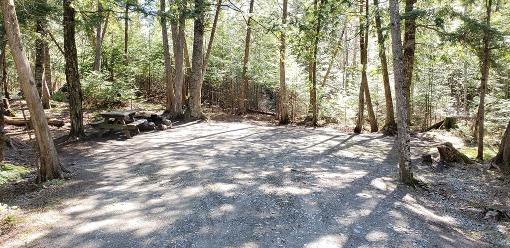 Jean C.'s photo of camping with pets at Rowell Cove Campground — Lily Bay State Park near Willimantic, ME
