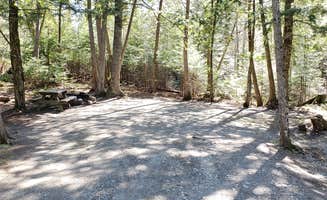Jean C.'s photo of camping with pets at Rowell Cove Campground — Lily Bay State Park near Greenville Junction, ME