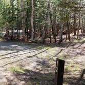 Review photo of Rowell Cove Campground — Lily Bay State Park by Jean C., June 10, 2019