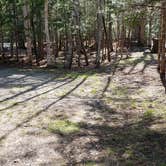 Review photo of Rowell Cove Campground — Lily Bay State Park by Jean C., June 10, 2019