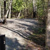 Review photo of Rowell Cove Campground — Lily Bay State Park by Jean C., June 10, 2019