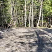 Review photo of Rowell Cove Campground — Lily Bay State Park by Jean C., June 10, 2019