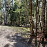 Review photo of Rowell Cove Campground — Lily Bay State Park by Jean C., June 10, 2019