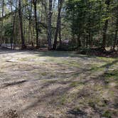 Review photo of Rowell Cove Campground — Lily Bay State Park by Jean C., June 10, 2019