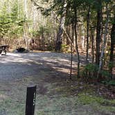 Review photo of Rowell Cove Campground — Lily Bay State Park by Jean C., June 10, 2019