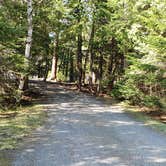 Review photo of Rowell Cove Campground — Lily Bay State Park by Jean C., June 10, 2019