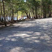 Review photo of Rowell Cove Campground — Lily Bay State Park by Jean C., June 10, 2019