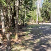 Review photo of Rowell Cove Campground — Lily Bay State Park by Jean C., June 10, 2019