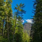 Review photo of Goodell Creek Campground — Ross Lake National Recreation Area by Shari  G., August 31, 2016