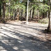 Review photo of Rowell Cove Campground — Lily Bay State Park by Jean C., June 10, 2019