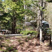 Review photo of Rowell Cove Campground — Lily Bay State Park by Jean C., June 10, 2019