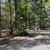 Review photo of Rowell Cove Campground — Lily Bay State Park by Jean C., June 10, 2019