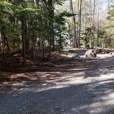 Review photo of Rowell Cove Campground — Lily Bay State Park by Jean C., June 10, 2019