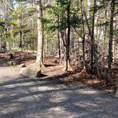 Review photo of Rowell Cove Campground — Lily Bay State Park by Jean C., June 10, 2019