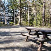 Review photo of Rowell Cove Campground — Lily Bay State Park by Jean C., June 10, 2019