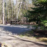 Review photo of Rowell Cove Campground — Lily Bay State Park by Jean C., June 10, 2019