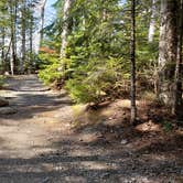 Review photo of Rowell Cove Campground — Lily Bay State Park by Jean C., June 10, 2019