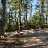 Review photo of Rowell Cove Campground — Lily Bay State Park by Jean C., June 10, 2019