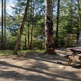 Review photo of Rowell Cove Campground — Lily Bay State Park by Jean C., June 10, 2019