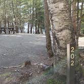 Review photo of Rowell Cove Campground — Lily Bay State Park by Jean C., June 10, 2019