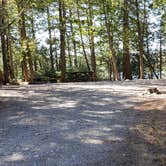 Review photo of Rowell Cove Campground — Lily Bay State Park by Jean C., June 10, 2019