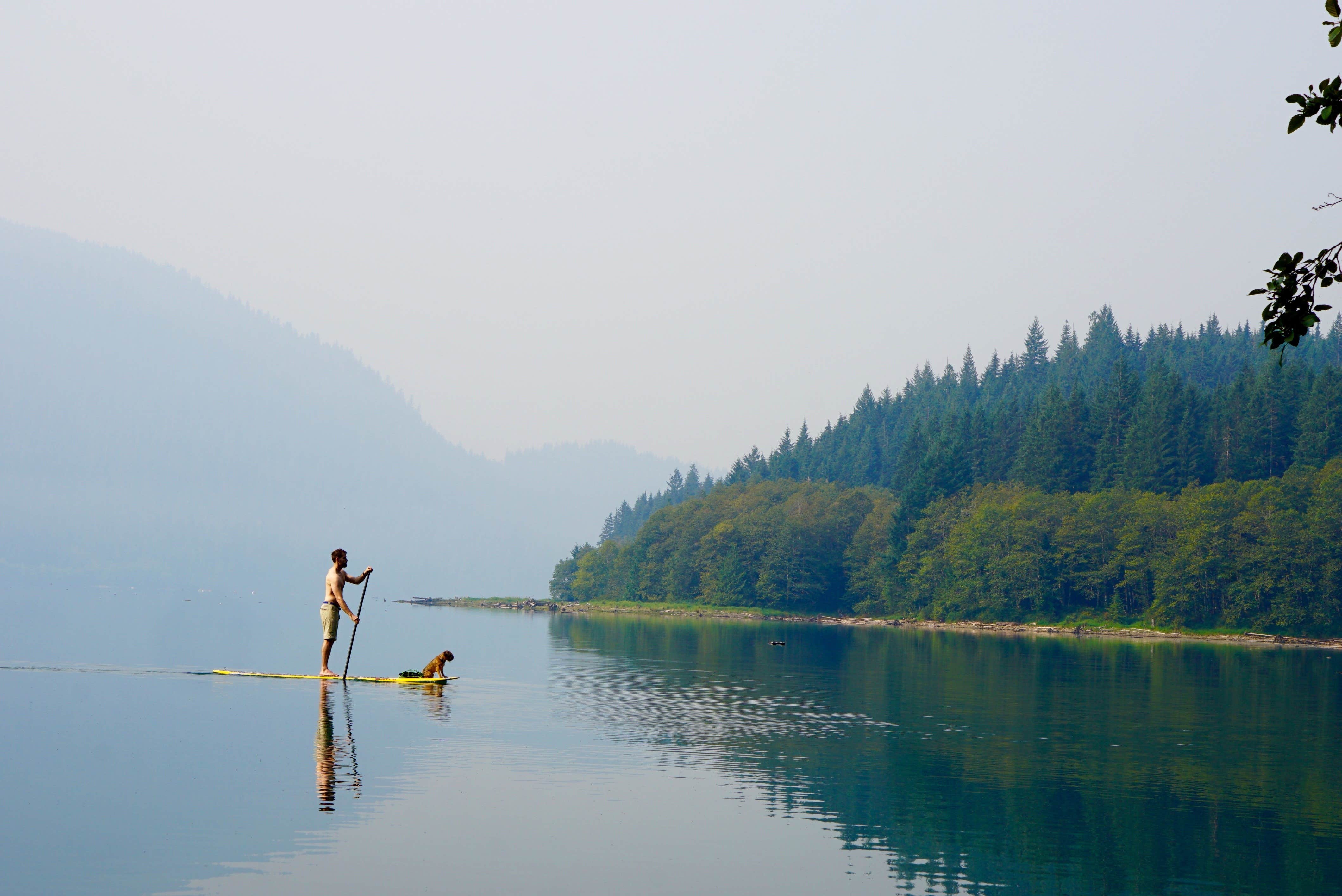 Camping near Kulshan Campground: Panorama Point Campground, Concrete, Washington