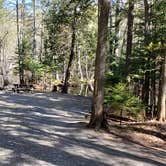 Review photo of Rowell Cove Campground — Lily Bay State Park by Jean C., June 10, 2019