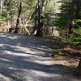 Review photo of Rowell Cove Campground — Lily Bay State Park by Jean C., June 10, 2019