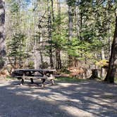 Review photo of Rowell Cove Campground — Lily Bay State Park by Jean C., June 10, 2019