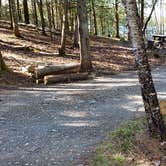 Review photo of Rowell Cove Campground — Lily Bay State Park by Jean C., June 10, 2019