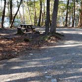 Review photo of Rowell Cove Campground — Lily Bay State Park by Jean C., June 10, 2019