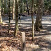 Review photo of Rowell Cove Campground — Lily Bay State Park by Jean C., June 10, 2019