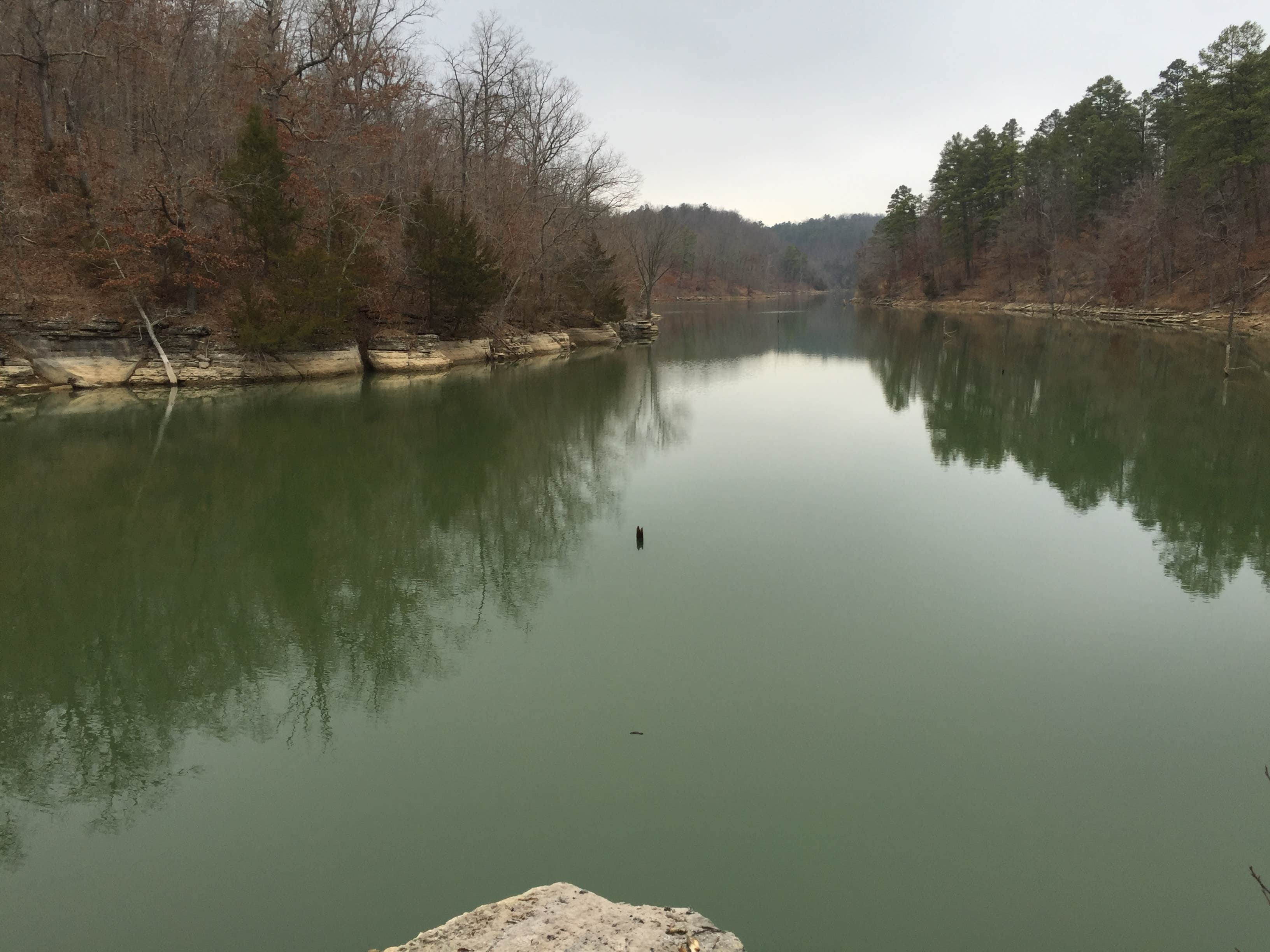 Camper submitted image from Dam Site River - Beaver Lake - 4