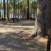 Review photo of Rowell Cove Campground — Lily Bay State Park by Jean C., June 10, 2019