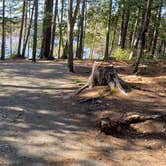 Review photo of Rowell Cove Campground — Lily Bay State Park by Jean C., June 10, 2019