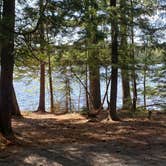 Review photo of Rowell Cove Campground — Lily Bay State Park by Jean C., June 10, 2019