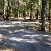 Review photo of Rowell Cove Campground — Lily Bay State Park by Jean C., June 10, 2019