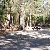 Review photo of Rowell Cove Campground — Lily Bay State Park by Jean C., June 10, 2019