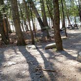 Review photo of Rowell Cove Campground — Lily Bay State Park by Jean C., June 10, 2019