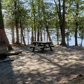 Review photo of Rowell Cove Campground — Lily Bay State Park by Jean C., June 10, 2019